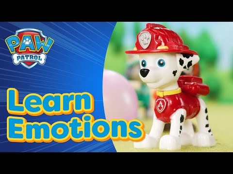 Marshall’s Surprise Party | Learn with PAW Patrol
