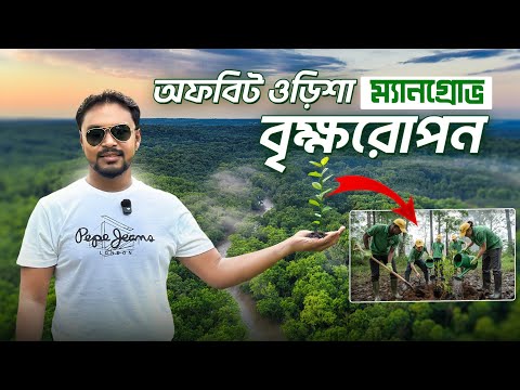 অফবিট ওড়িশা র ম্যানগ্রোভের জঙ্গলে || Mangroves India || Mangrove Forest || Astaranga Beach Odisha