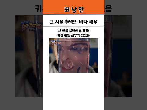 그 시절 추억의 바다 새우