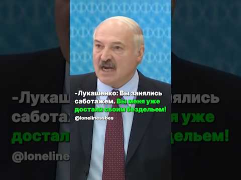 Лукашенко: «Вы занялись саботажем!». Президент ЖЁСТКО раскритиковал работу чиновников