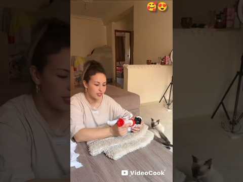 كبيدات #maroco #explore #اكسبلور #تيك_توك #الشعب_الصيني_ماله_حل #minivlogs