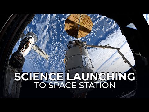 Science