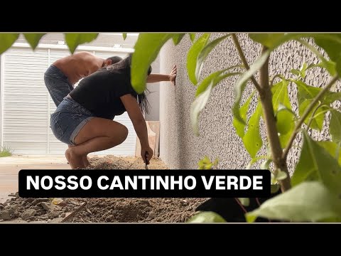 Canteiro da frente pronto | deu trabalho mas valeu a pena