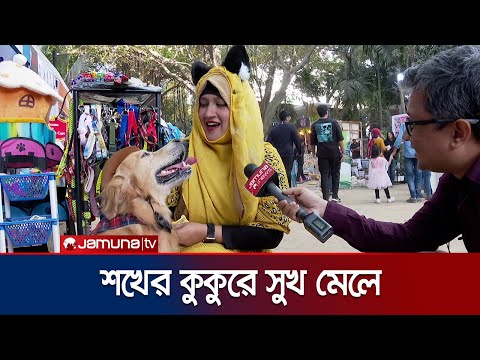 হ্যাট, নকশাদার ব্লেজার ও ফ্রকে পোষা কুকুরের প্রদর্শনী | Dog | Fancy Dressed | Jamuna TV