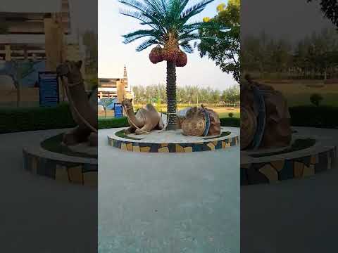 সোনার মদিনা বহু দূরে...🥰💔 #রোকনুজ্জামান_রাজু