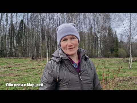Весенняя прогулка по огороду🌳Как перезимовали растения? Семена что с ними не так @obovsemsmarusya