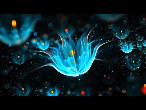 Lost Frequencies -  No Trust Feat  Lauren