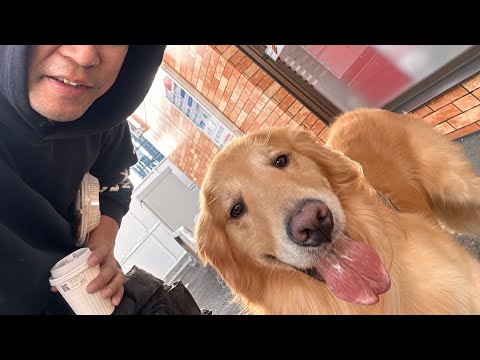 セブン犬チャレンジを再開してみました