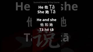 Day 1 – "HE" and "SHE" Survival Chinese Core Pronouns  (30 Day Course)