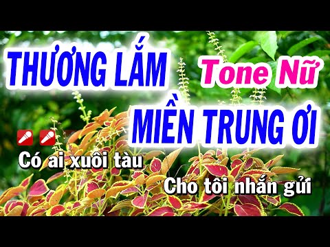 Karaoke Thương Lắm Miền Trung Ơi – Tone Nữ Dễ hát | Karaoke Tuyết Nhi