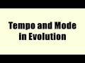 Evolutionary Concepts and Theories