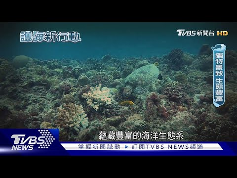海洋生態大調查! 小琉球海域魚群數量減少│護海新行動｜TVBS新聞 @TVBSNEWS01 - YouTube(7分22秒)