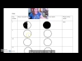Moon Phases and Gizmo Instructions