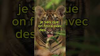 Motivation