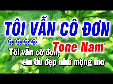 Karaoke Tôi Vẫn Cô Đơn Nhạc Sống Tone Nam | Bảo Hưng