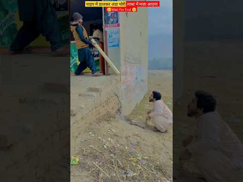 पाइप में डालकर अण्डा चोरी Stealing an egg by putting it in a pipe #shorts #youtubeshort #shortsvideo