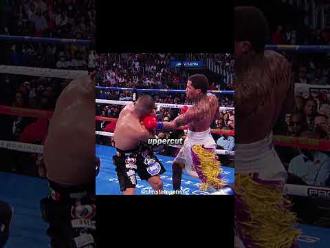 Ini Adalah Pertandingan Skill Boxing Terbaik #gervontadavis #isaaccruz  #boxing