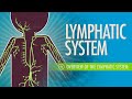 Understanding the Lymphatic System