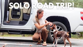 Traveling Solo with My Dog | Roadtrip Vlog