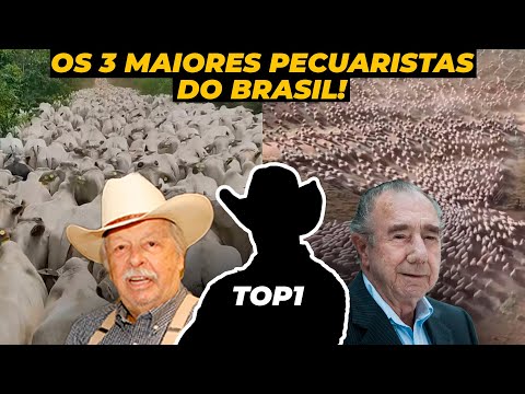 TOP 3 MAIORES DONOS DE GADO DO BRASIL - MILHÕES DE NELORES!