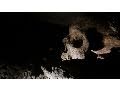 Exploration of Roman Catacombs