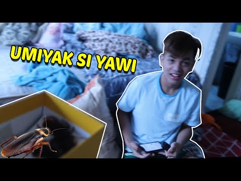 MAG IPIS PRANK | WALANG INTERNET