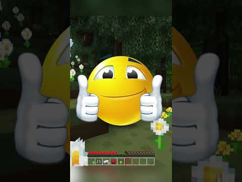 Minecraft Tapi Setiap Kena Damage Akan Jadi Lebih Realistik