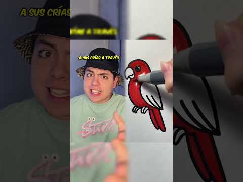 Animales que en mi opinión no deberían existir 😳💀