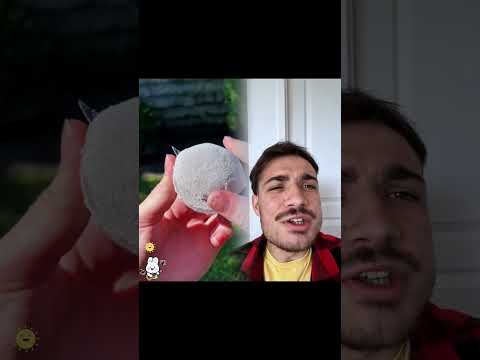 Vous voulez la suite ? 😂 // Instagram 📸 coren_tintllr