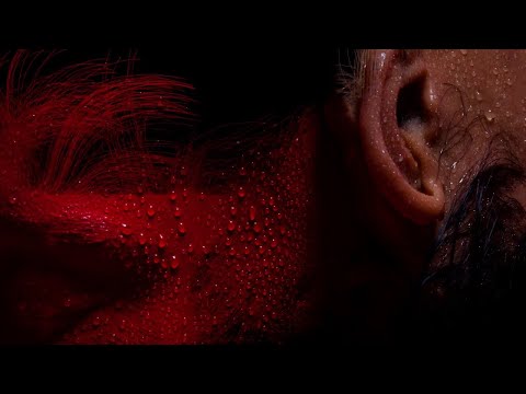 SEVDALIZA - AMANDINE INSENSIBLE