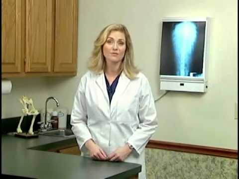 Free Veterinary Receptionist Training Manual - XpCourse