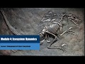 Ecosystem Dynamics and Biodiversity Threats
