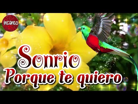 Te diré lo que eres para mí, frases de amor hermoso para una mujer especial, Esta Canción Es Para Ti