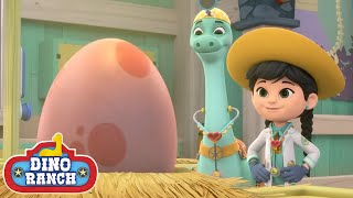 New Hatching Egg! | Dino Ranch