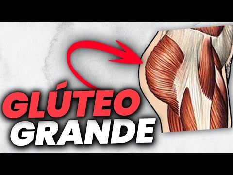 AUMENTA TUS GLÚTEOS con la MEJOR RUTINA según la ciencia [Todos los EJERCICIOS explicados]