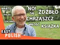 Zrozumienie Polskich Słów i Uczuć