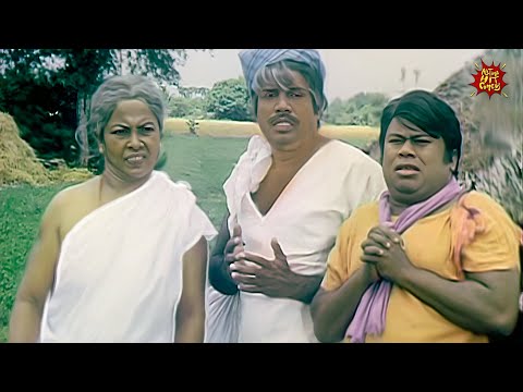 Chinna Goundar Movie Goundamani Senthil Comedy Compilation | Tamil Comedy | All Time Hit Comedy