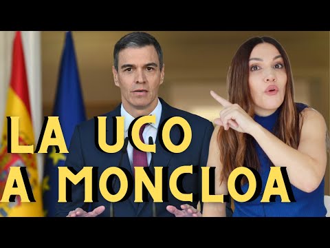 LA JUEZA ENVÍA A LA UCO A MONCLOA POR EL HERMANO DE PEDRO SÁNCHEZ.