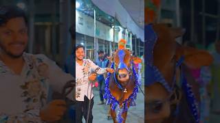 আলহামদুল্লিলাহ আমাদের গরু কিনা Done, গরু নিয়ে বাসায় চলে আসলাম 🐂 Qurbani Vlog #shorts