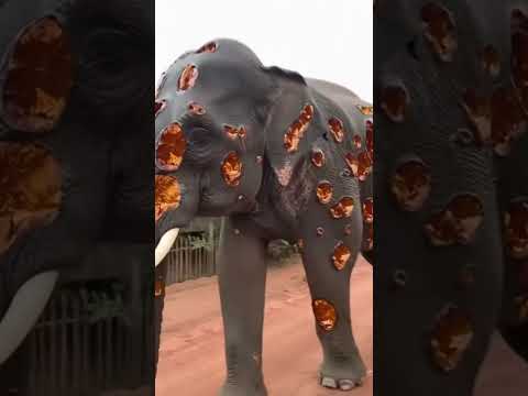 #ข่าวด่วน #เลขเด็ดงวดนี้ #maina #ฟีด