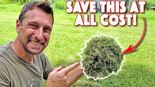 THIS One Concept Can Save You A Lot On Your Homestead!