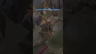 grow site 02-80010... 01-October-2026