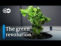Bioeconomy and Sustainable Practices Quiz