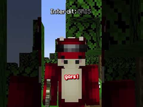 Mon Minecraft change si je touche cette Couleur ⚡
