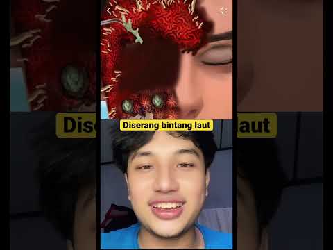 DISERANG BINTANG LAUT #viral #shortsviral