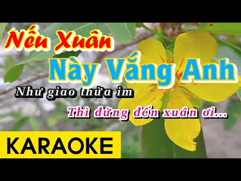 NẾU XUÂN NÀY VẮNG ANH KARAOKE | BEAT CHUẨN CỰC HAY