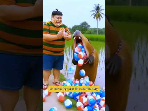 Ca by ba ra nôn ra bánh kẹo cho cậu bé