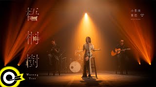 小男孩樂團 Men Envy Children【梧桐樹 Wutong Tree】Official Music Video(4K)