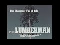 Timber Industry and Its Impact