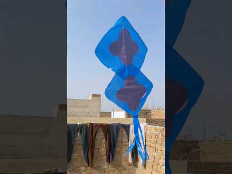 Double Kite Patang Flying